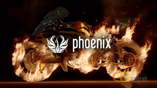 phoenixfd2020.jpg