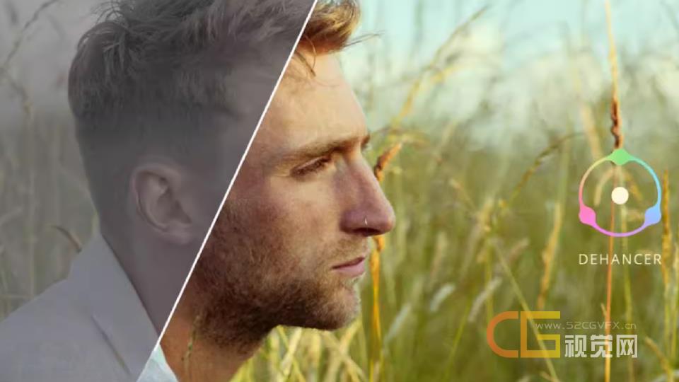 胶片模拟视频调色插件 Dehancer Pro OFX v7.3.1  达芬奇 Win&Mac